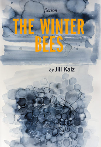 Kalz_book cover 1