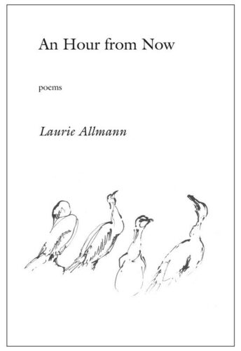 Allmann-Laurie_cover_2019